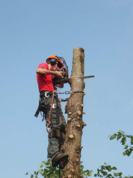 4742_108979442680_2145017_n